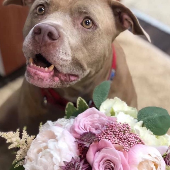 Meet your Posher, Jeena - Picture 3 of 3